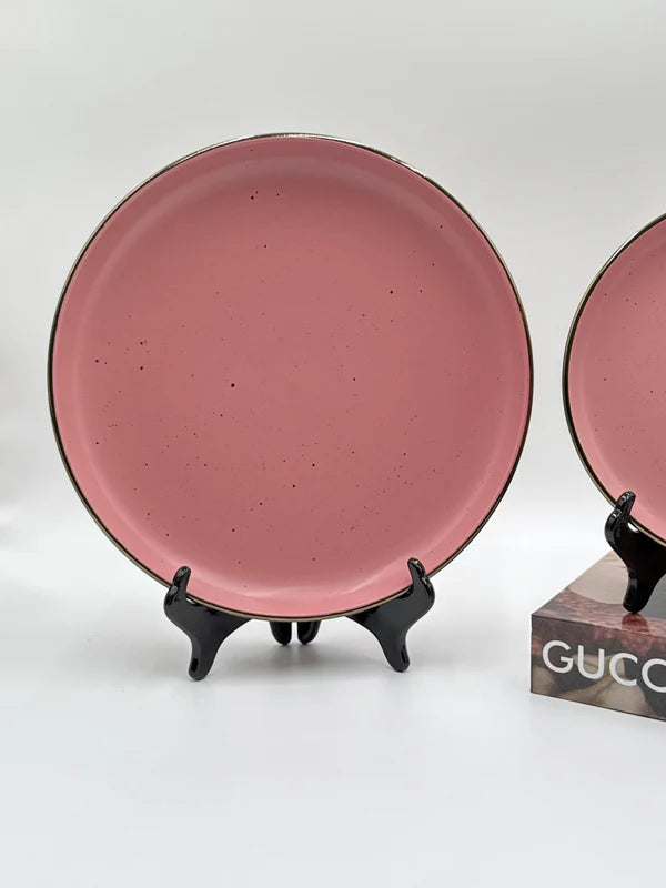 16 Pcs Stoneware Plate Set with Bowls and Silver Outline 🍽️